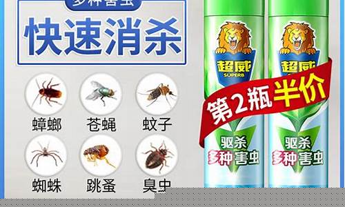 消灭蟑螂最高效最彻底的方法-消灭蟑螂