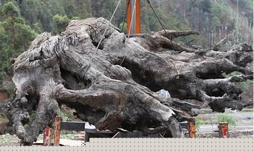 乌木怎么鉴别真假-乌木怎么鉴别