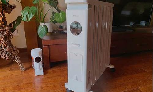 取暖器什么牌子好-电烤炉取暖器什么牌子好