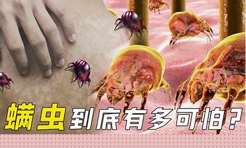 怎么样防螨虫-如何防螨