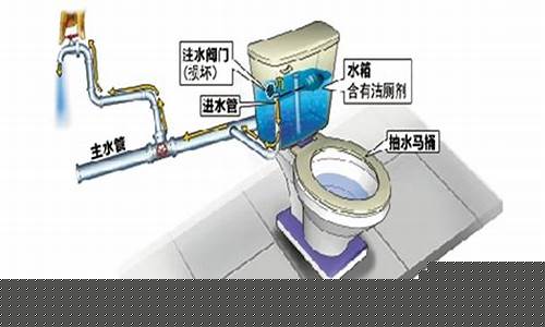 抽水马桶排名-马桶前排水和后排水图